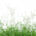 An image of a "bighead grass" which can cause bighead disease in horses