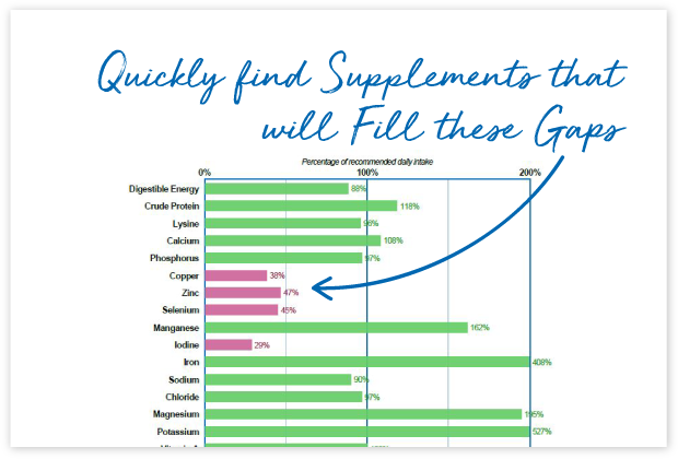 Fill nutrient gaps easily with our Supplement Finder tool