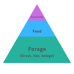 Forage is the foundtion
